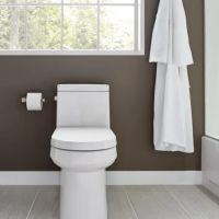 Collins Plumbing, Inc. ico