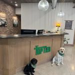 Top Tier LLC