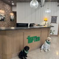 Top Tier LLC ico