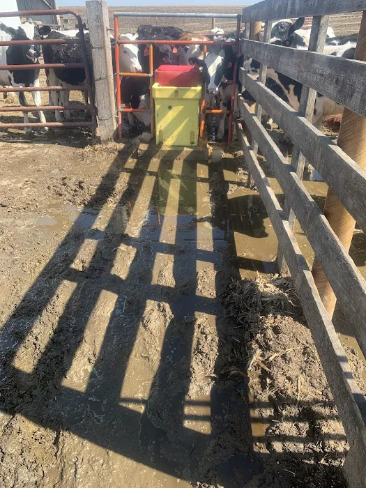 Lenz Plumbing, Well Pumps, Heating & A/C Picture 9