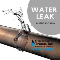 Grossman & Trump, Inc. ico
