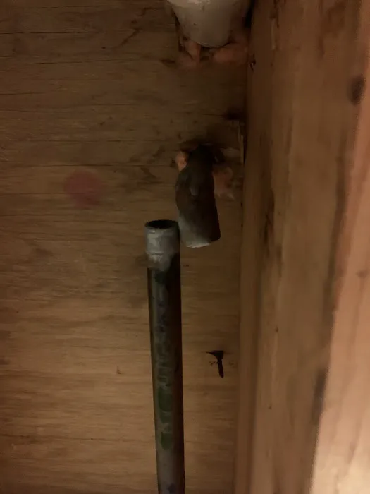 Garys Plumbing Picture 4