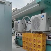 Pederson Plumbing ico