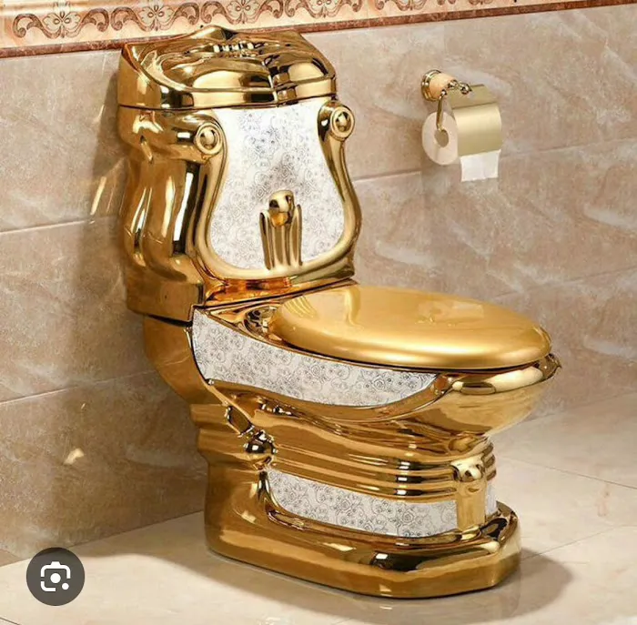 clogged toilet and drain guys Picture 2