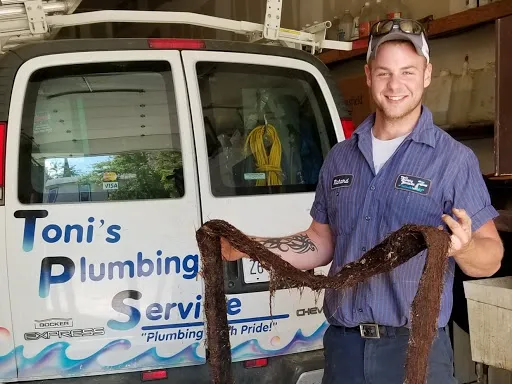 Toni's Plumbing Service, Inc. Picture 1
