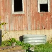 Dan's Plumbing, LLC ico
