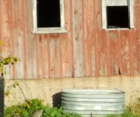 Dan's Plumbing, LLC