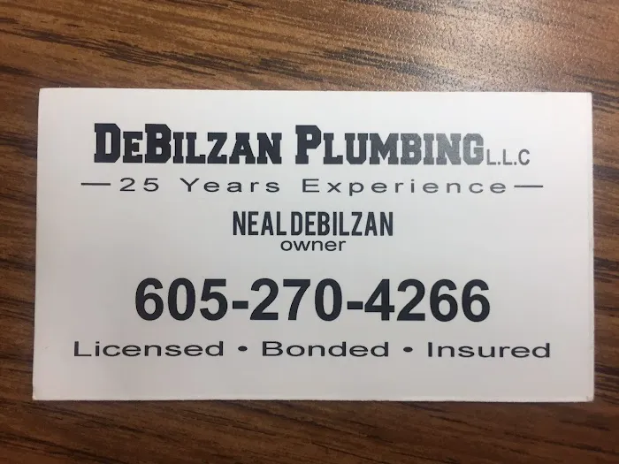 DeBilzan Plumbing LLC Picture 1