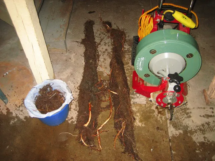 Budget Drain & Sewer Cleaning LLC Picture 4