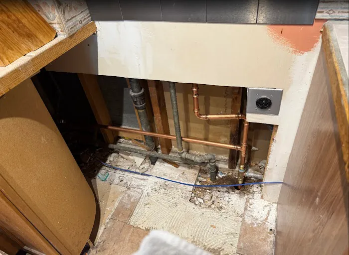 1-Tom-Plumber Picture 9