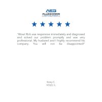 Allegiance Service Group, Inc. ico