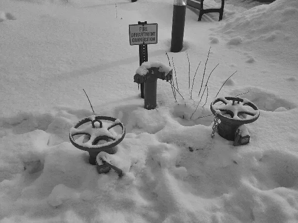 American Backflow & Fire Prevention Inc. Picture 7
