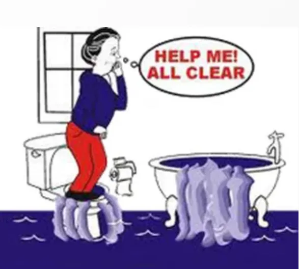 A1 All Clear Sewer & Plumbing, Inc. Picture 1