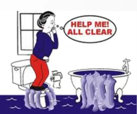 A1 All Clear Sewer & Plumbing, Inc.