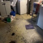 Discount Drain & Sewer Cleaning