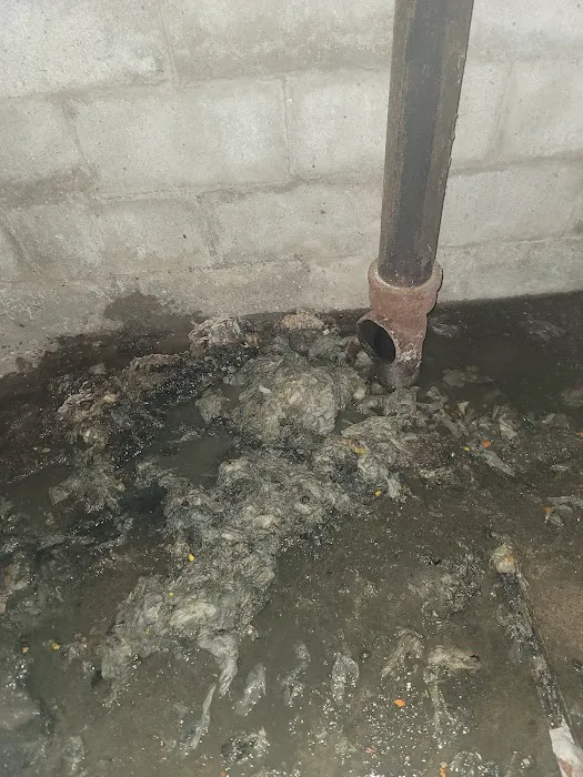 TCM Sewer and Drain LLC Picture 5