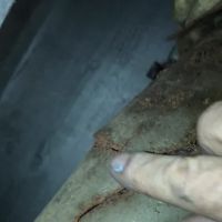 Dan Callahan Plumbing ico