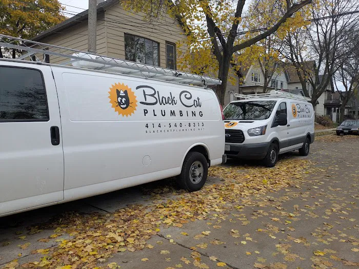 Black Cat Plumbing Picture 8
