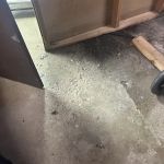 Berts Sewer and Drain Cleaning