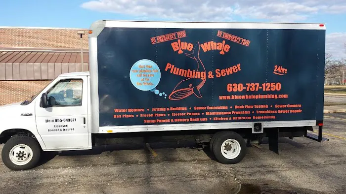 Blue Whale Backflow, Plumbing, & Excavating Picture 4