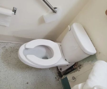 Clog finder plumbing, sewer and drain cleaning