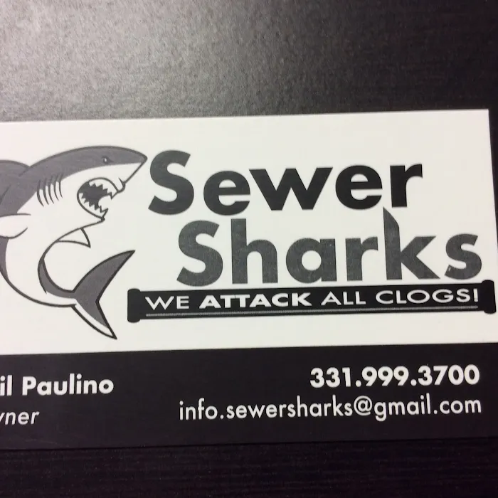 Sewer Sharks Picture 3
