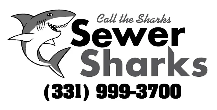 Sewer Sharks Picture 2