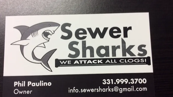Sewer Sharks Picture 4