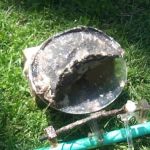 Eveready Flood Control, Ltd.