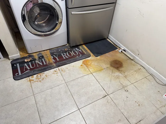 Drain & Plumbing Services Picture 6