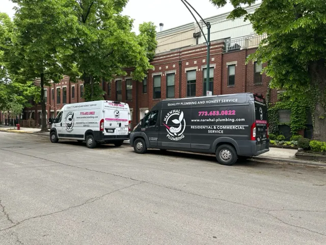 Narwhal Plumbing Specialists in Tankless Water Heater Installations and Plumbing Services Picture 1