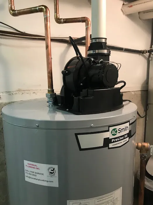 Narwhal Plumbing Specialists in Tankless Water Heater Installations and Plumbing Services Picture 8