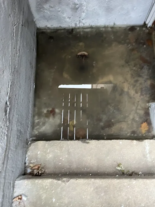 Sina Plumbing Drain Service Picture 2