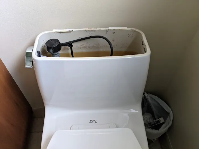 BMW Plumbing & Sewer Picture 4
