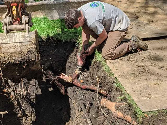 Elk Grove Village Plumbing Picture 6