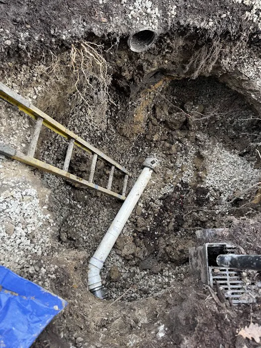 Bee Quick Plumbing & Sewer - Naperville Picture 7