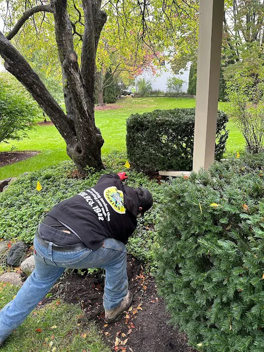 Bee Quick Plumbing & Sewer - Naperville Picture 5