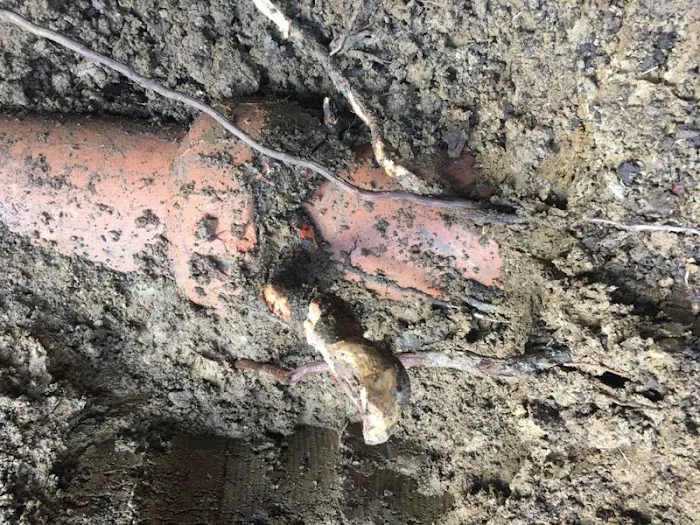 DRC Plumbing and Sewer, Inc. Picture 8