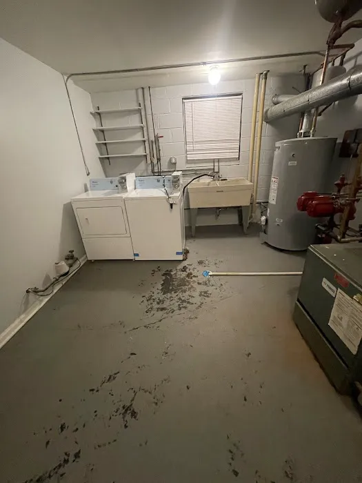 Roto-Rooter Plumbing & Water Cleanup Picture 3