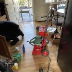 Roto Rooster Plumbing and Drain Cleaning INC.