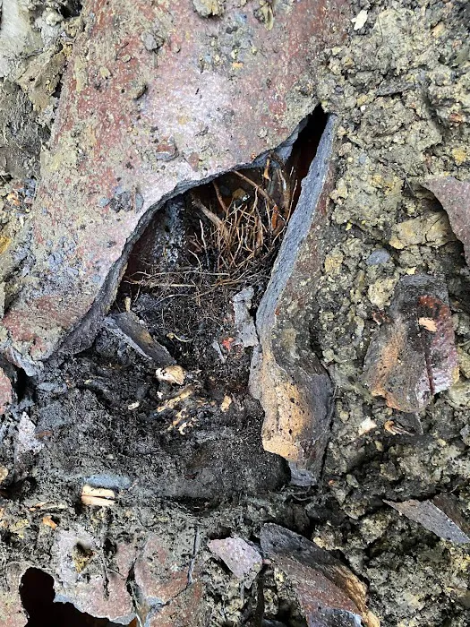 RANGO SEWER AND WATER INC. Picture 4