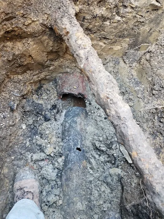 root-x sewer and drain and home repair Picture 2