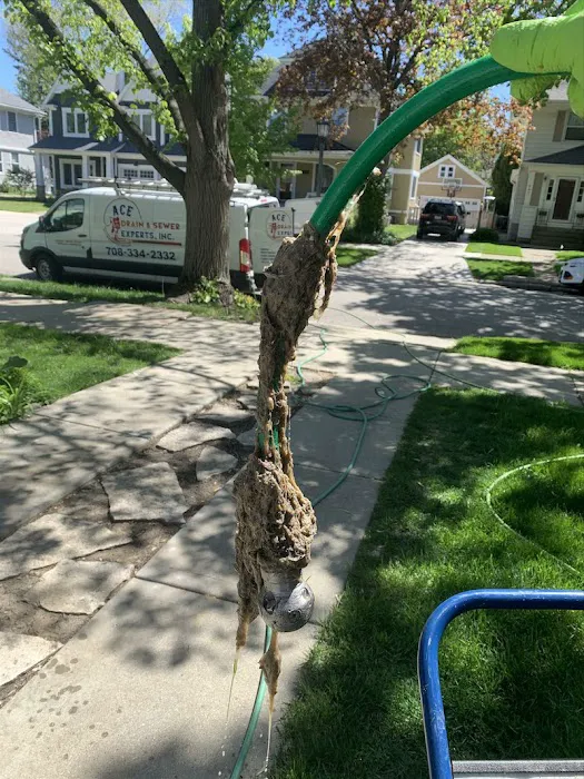 Ace Drain and Sewer Experts Inc. Picture 5