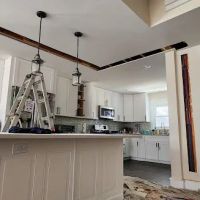 Action Plumbing ico