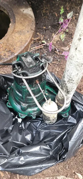 PSP Plumbing And Sewer, Inc Picture 6