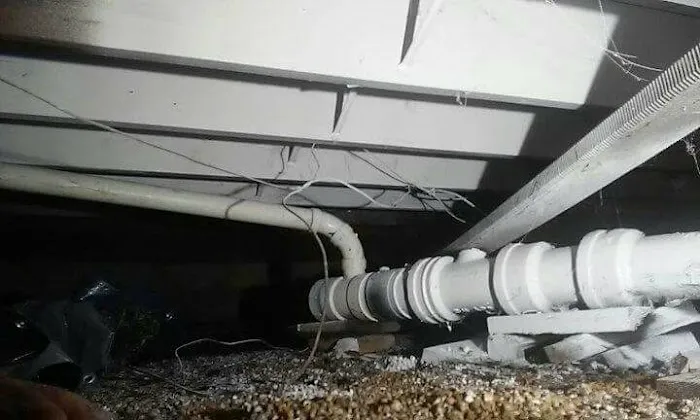 Neptune Plumbing & Sewer Picture 1