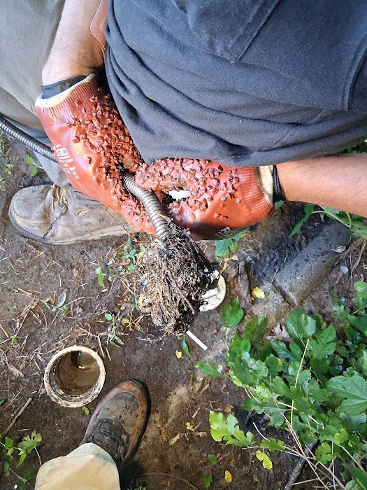 Reliable Clog-Rod-Drain Specialists Picture 10