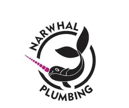 Narwhal Plumbing Specialists in Tankless Water Heater Installations and Plumbing Services