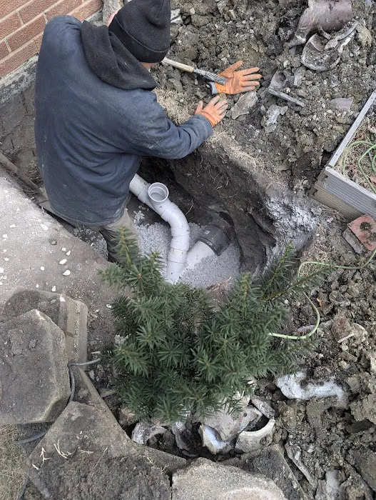 Drain King Picture 2