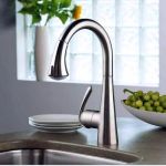 Emmett's Speedy Plumbing Company